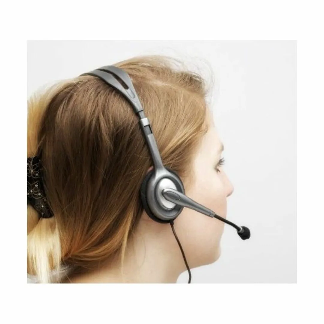 Logitech H110 Headset - Grijs