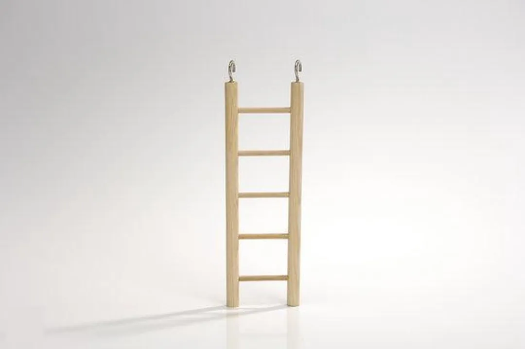 Beeztees Houten Ladder
