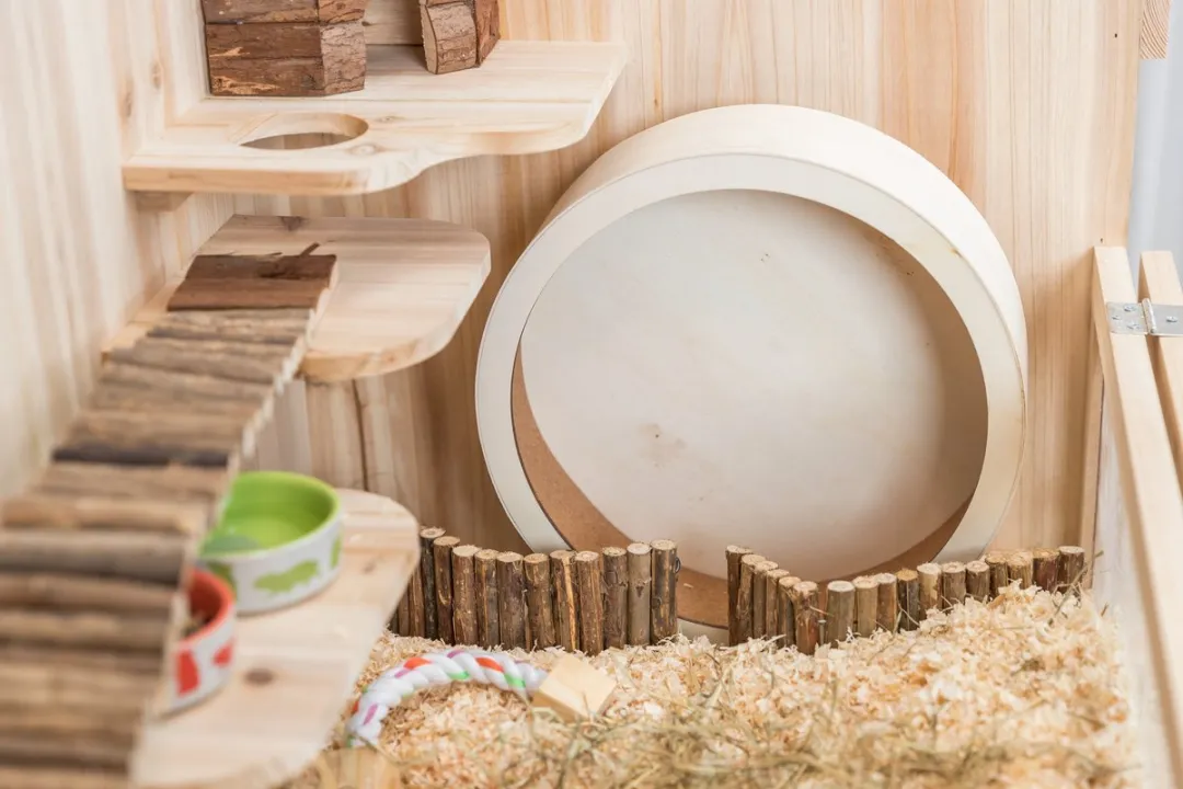 Trixie Looprad Hout