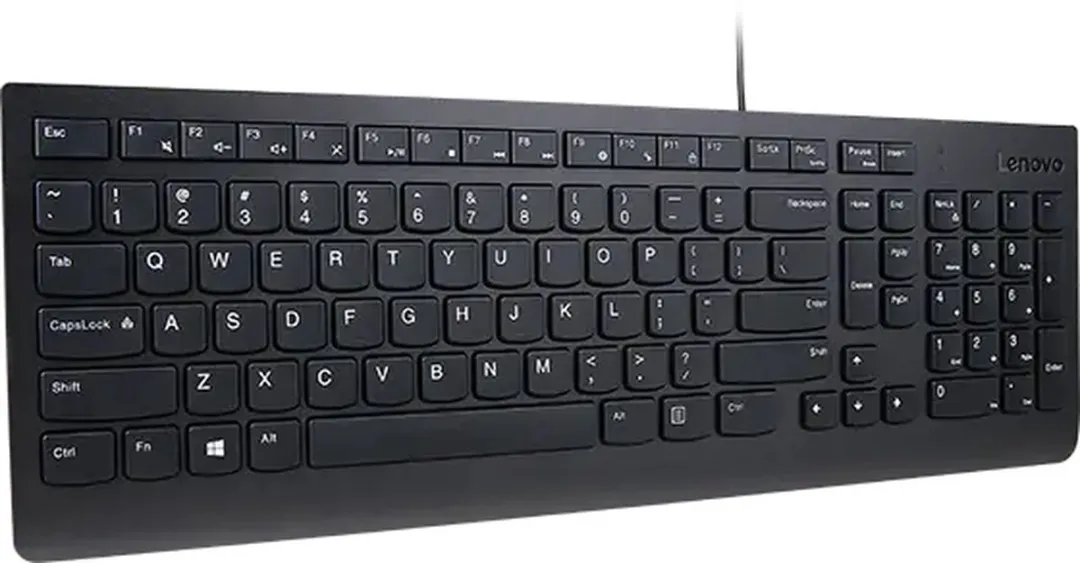 Lenovo Essential VS Euro103P Bedraad Toetsenbord - Zwart