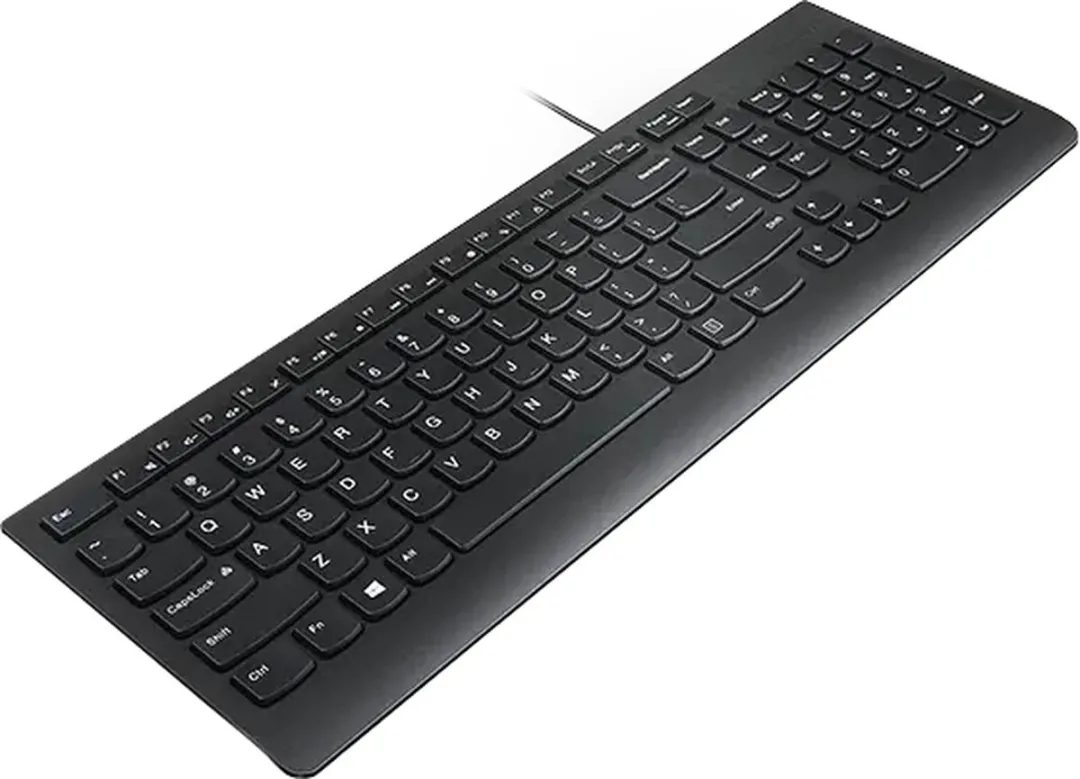 Lenovo Essential VS Euro103P Bedraad Toetsenbord - Zwart