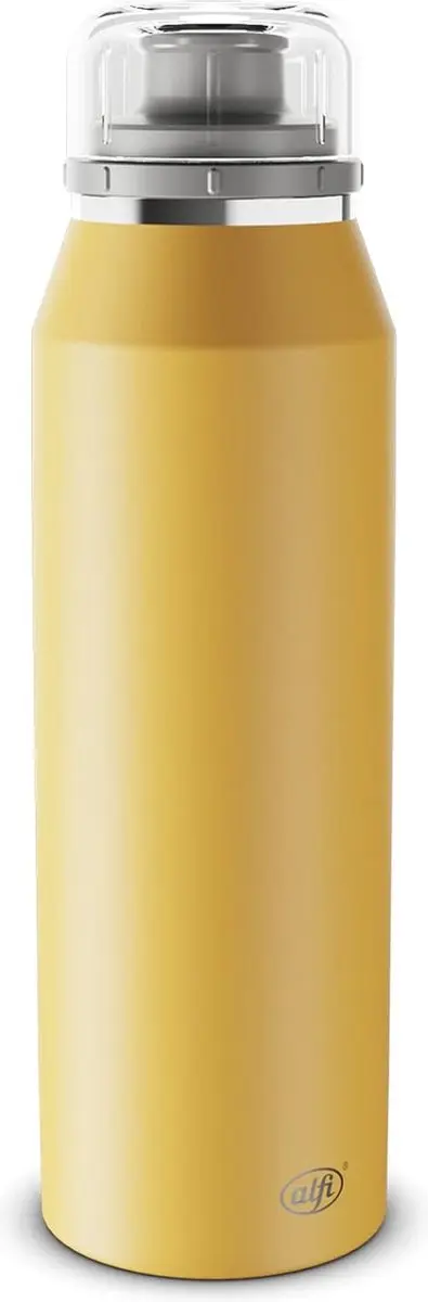 500 ml, spicy mustard, geïsoleerde drinkfles van roestvrij staal, absoluut dich