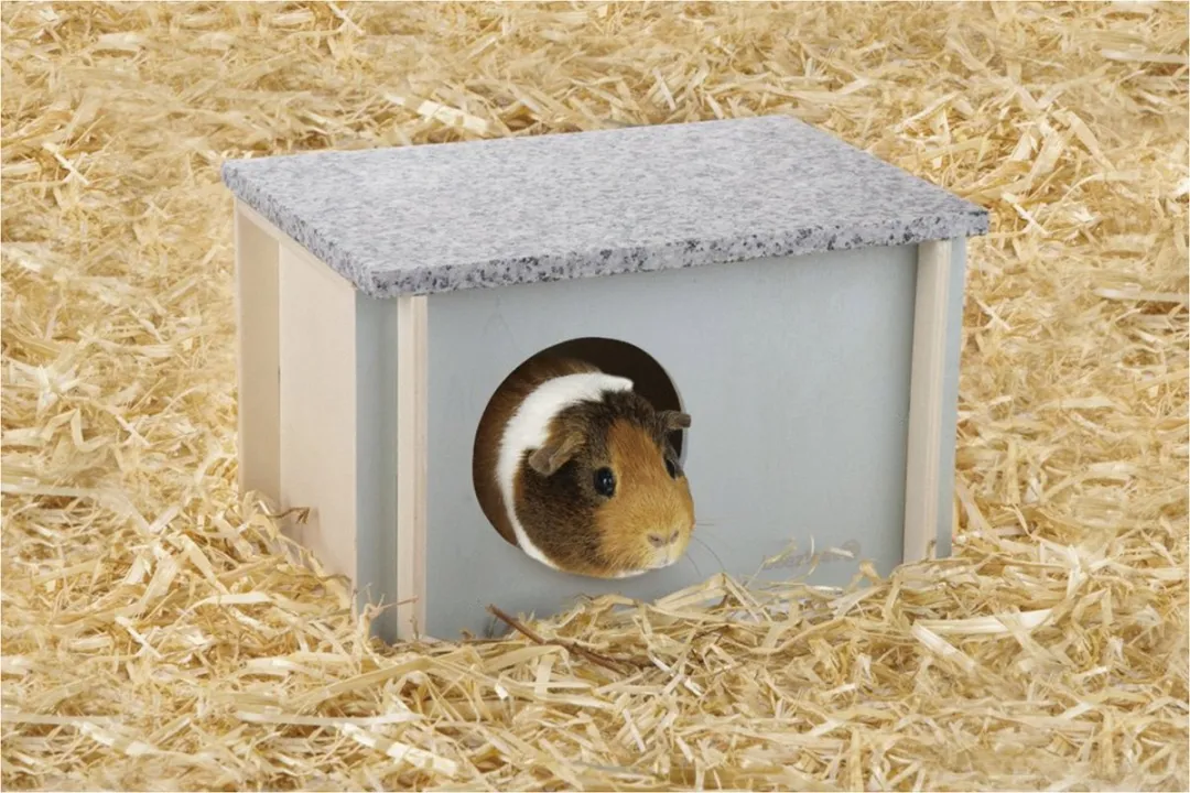 Beeztees Koelhuisje Cico Mintgroen - Kooi Accessoire - 26x18x16 cm