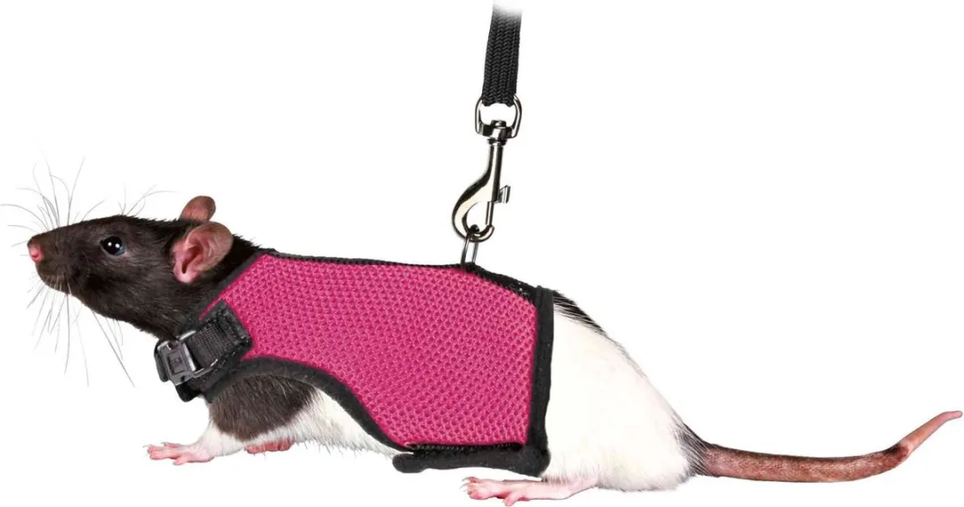 Trixie Softtuig Ratten Assorti - Blauw