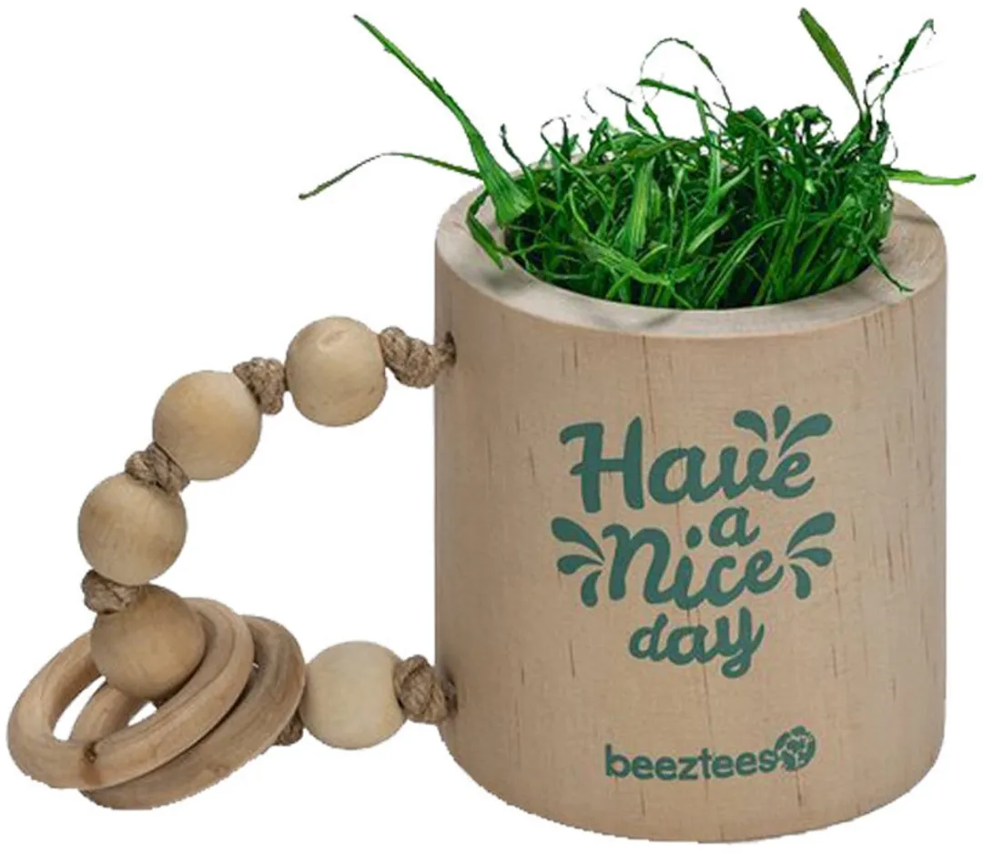 Beeztees Have a Nice Day Knaagdierspeelgoed