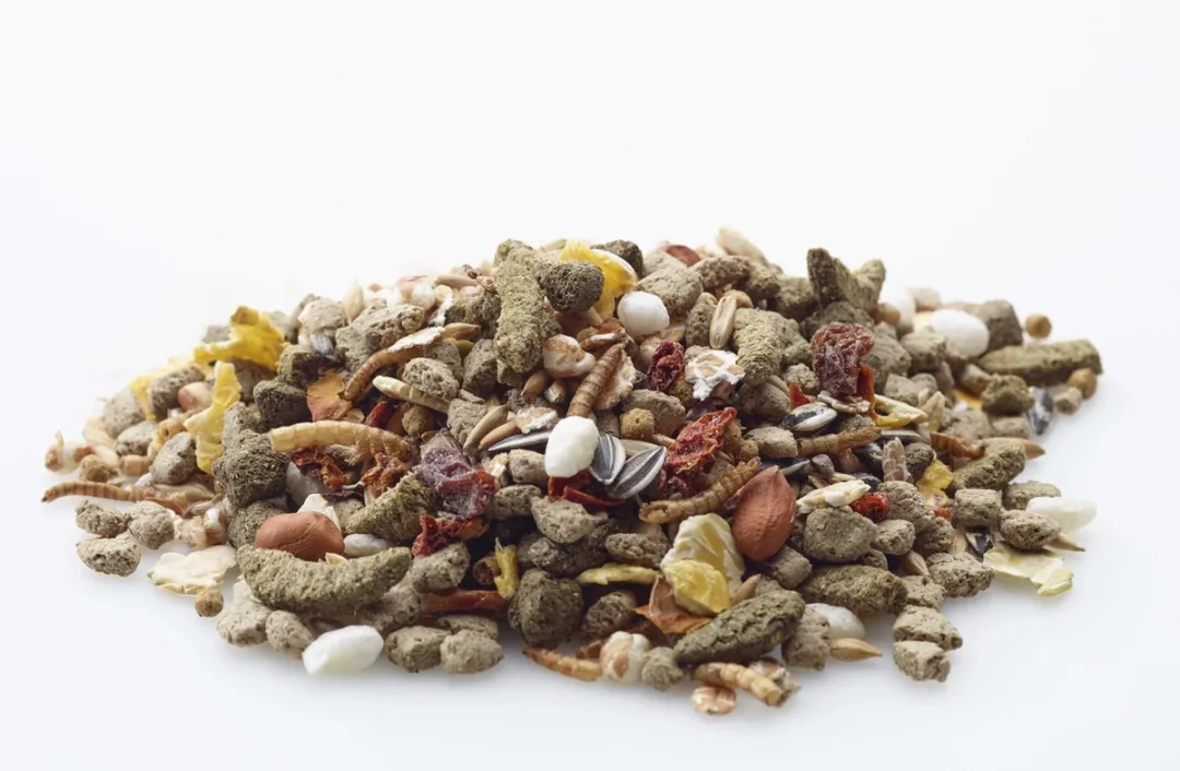 Versele-Laga Nature Rat Rattenvoer 700g