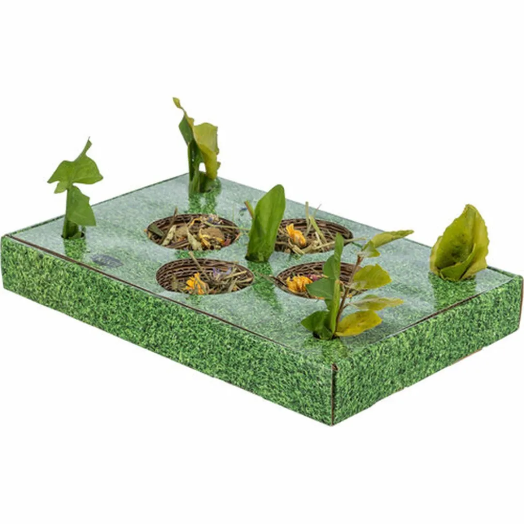 Trixie Snackbar Kartonnen Voerbak Groen 28x18x3,8cm