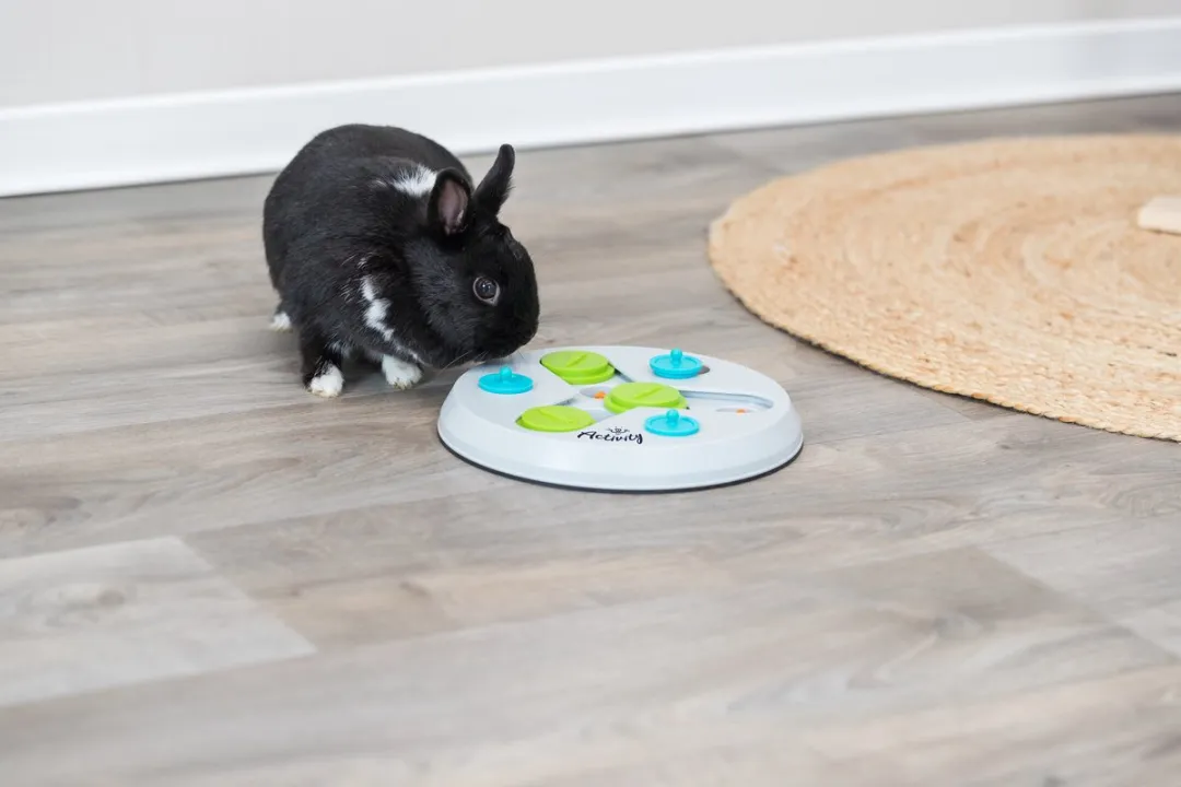 Trixie Slide & Fun Board Intelligentiespel - 23x23cm - afbeelding 6 van 6