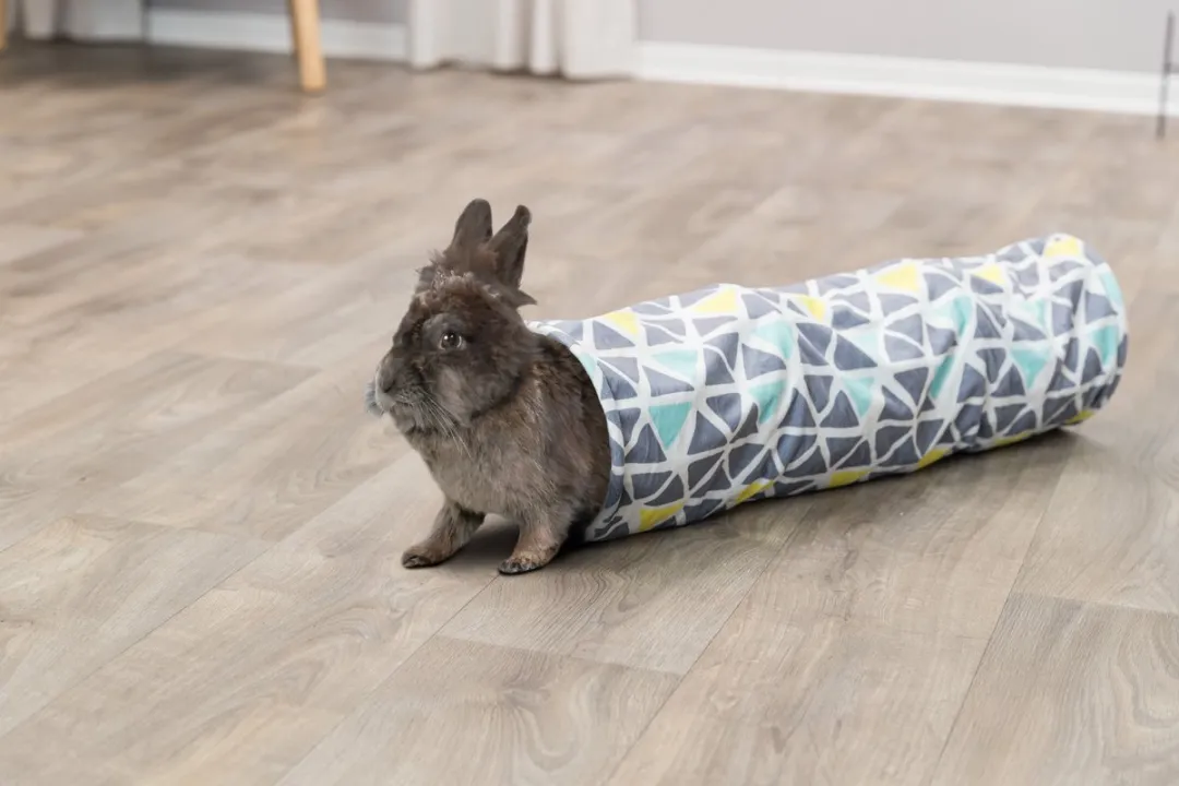 Trixie Knaagdiertunnel Sunny Pluche - 70x19cm - Grijs - afbeelding 5 van 6