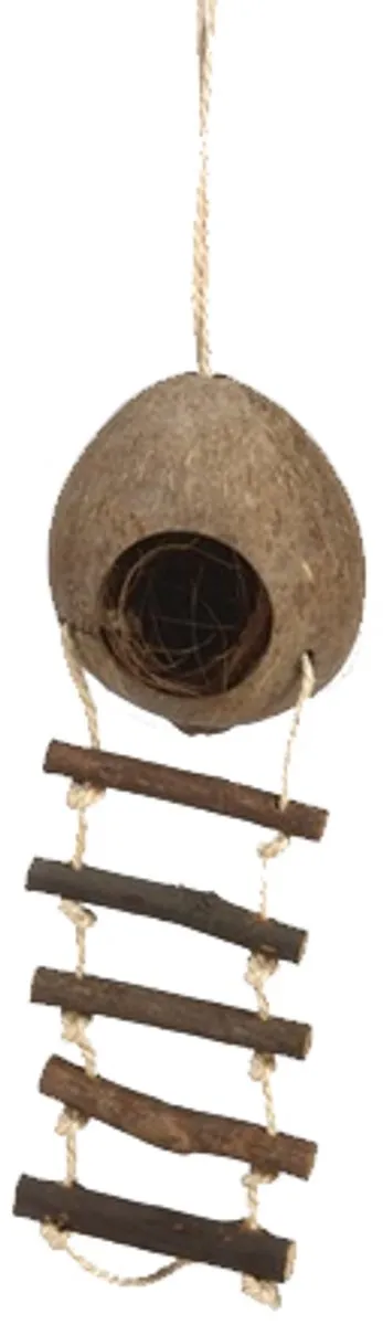 Beeztees Kokosnoothuisje met Ladder - 30cm - Bruin