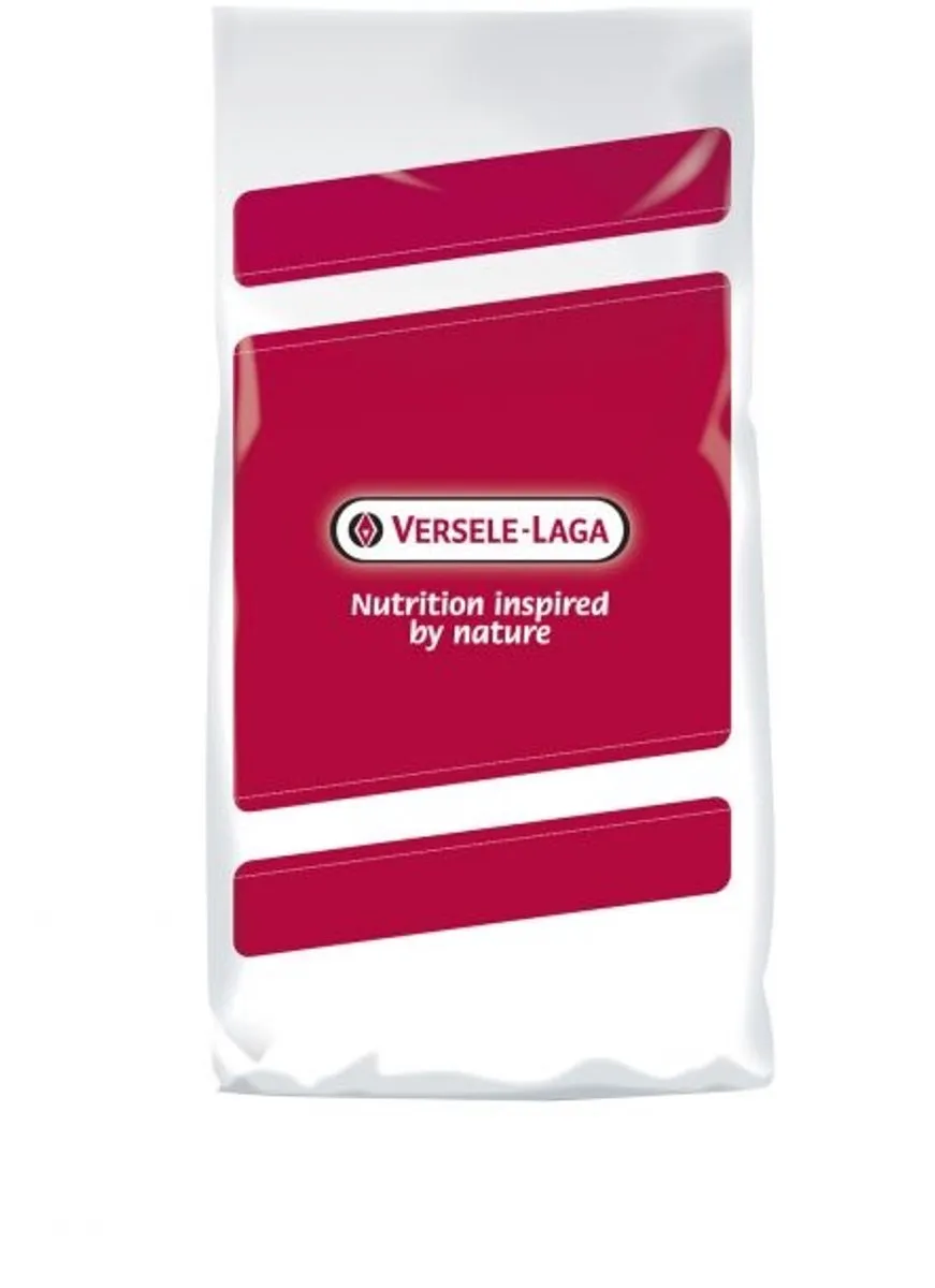 Versele-Laga Nigerzaad Vogelvoer 1kg