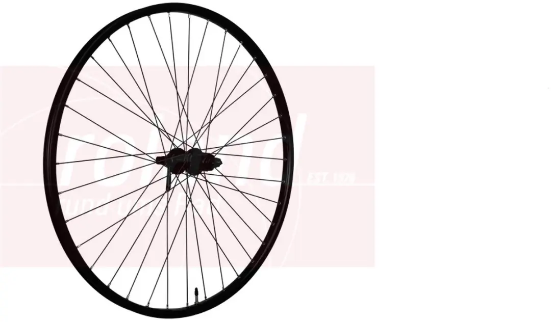 Roland Achterwiel Rival 21-584 zwart disc QR 10v