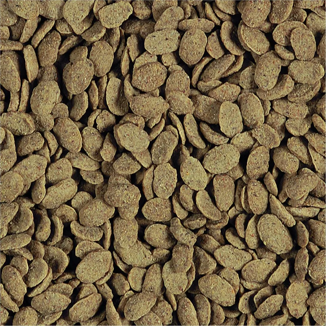 Versele-Laga Nutribird P15 Original Vogelveer - 1kg