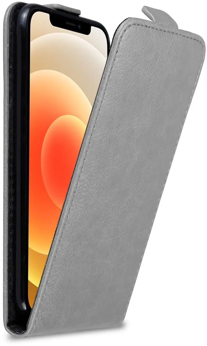Cadorabo Hoesje geschikt voor Apple iPhone 12 MINI in TITANIUM GRIJS