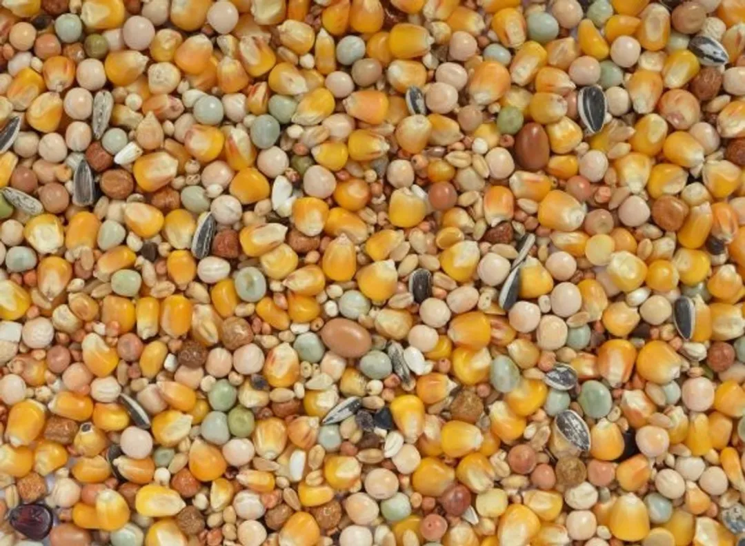 Versele-Laga Mariman 4 Seizoenen Duivenvoer 25kg
