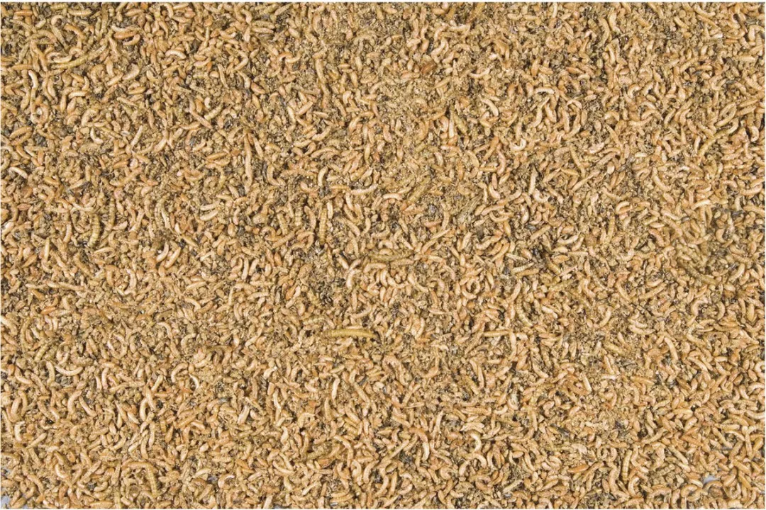 Versele-Laga Menu Nature Insect Mix