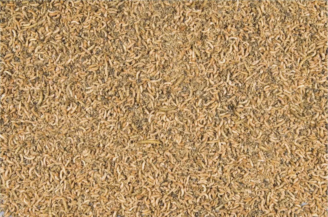 Versele-Laga Menu Nature Insect Mix