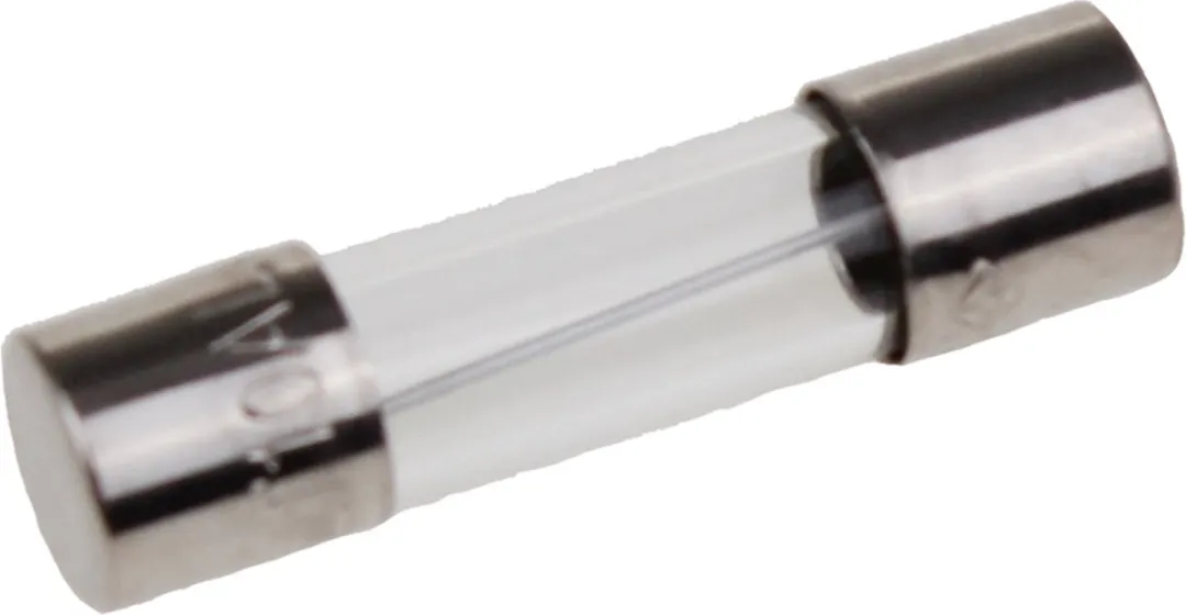 Whirlpool Glaszekering 5x20mm 10A - 20 Stuks