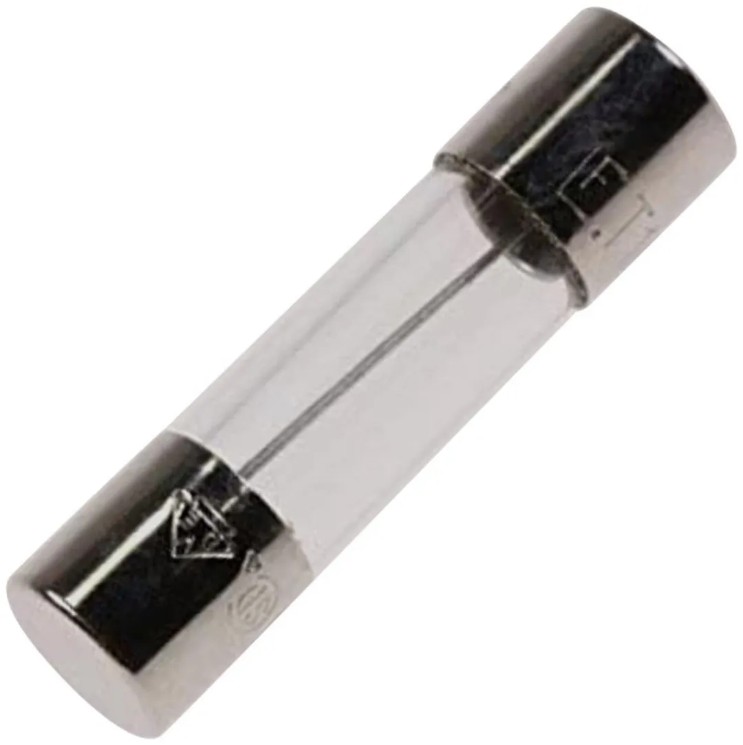Whirlpool Glaszekering 5x20mm 10A - 20 Stuks