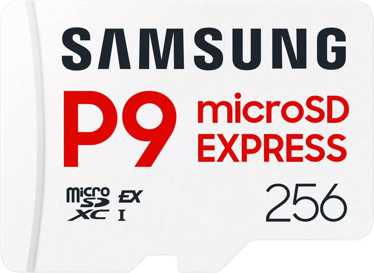 Samsung P9 Express microSDXC 256GB