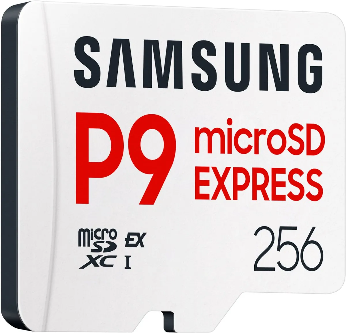 Samsung P9 Express microSDXC 256GB