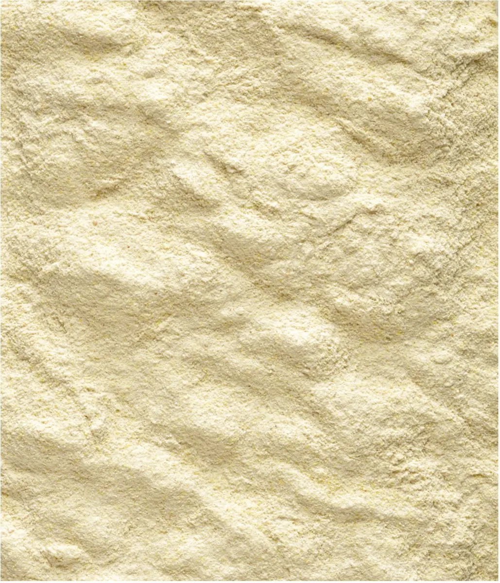 Versele-Laga Nutribird A19 Papegaai - Vogelvoer - 800 g - afbeelding 2 van 6