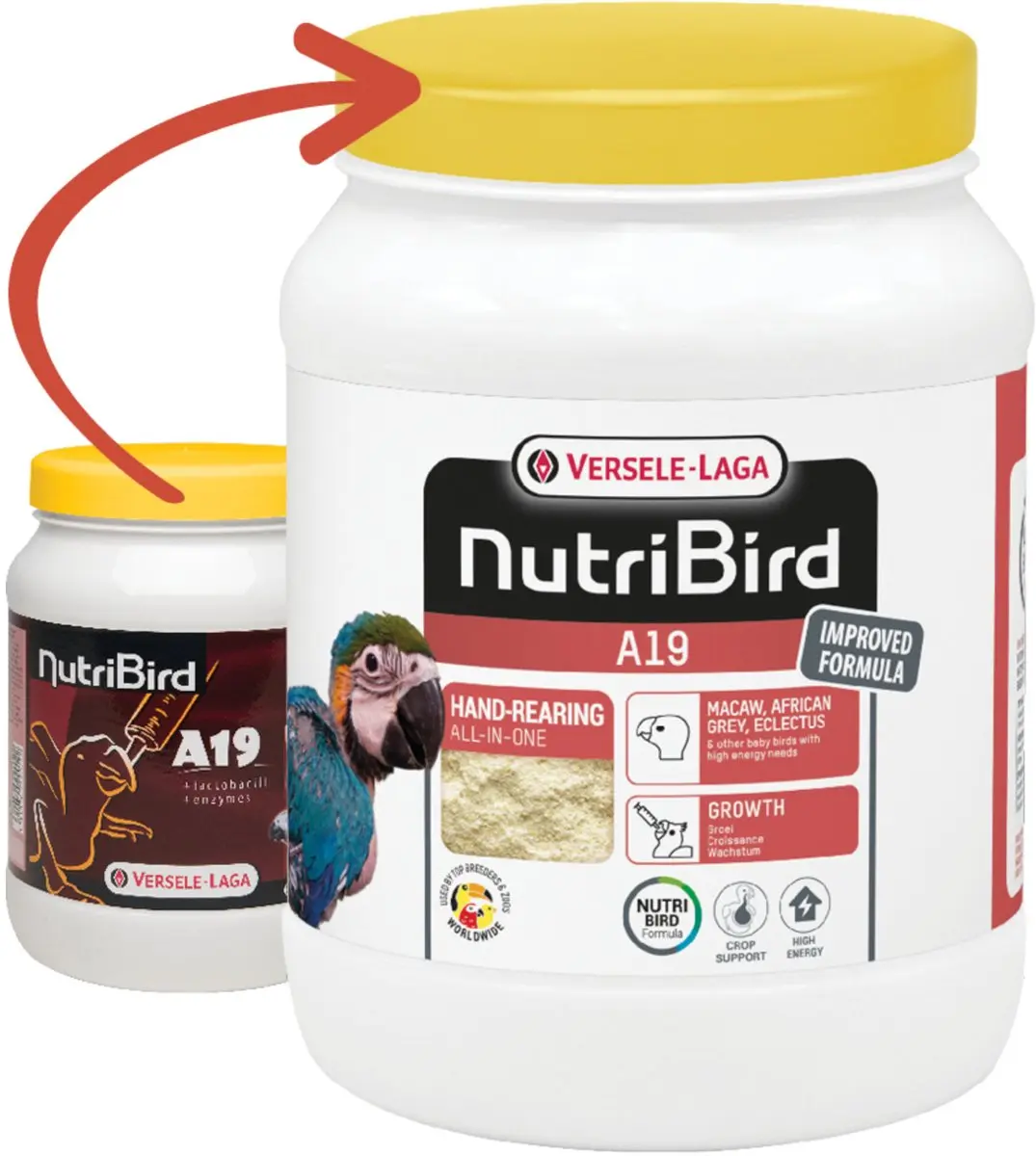 Versele-Laga Nutribird A19 Papegaai