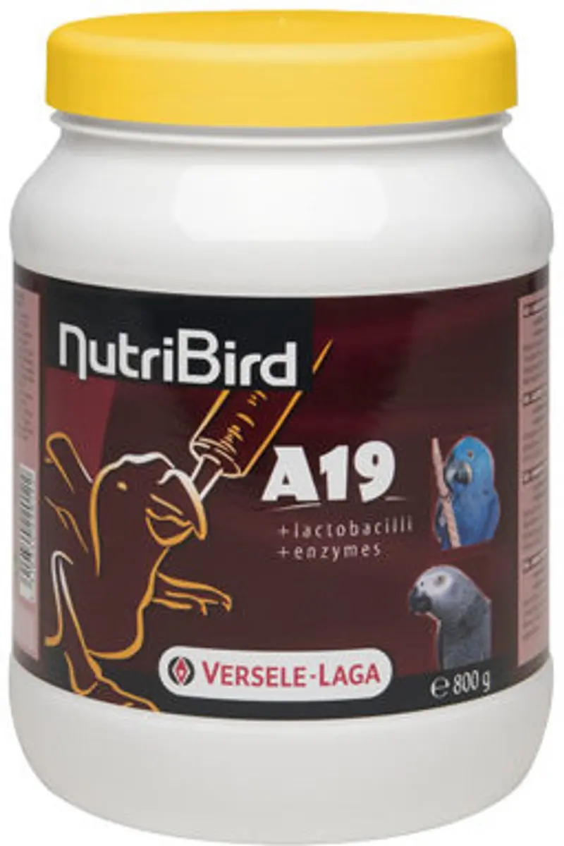 Versele-Laga Nutribird A19 Papegaai - Vogelvoer - 800 g - afbeelding 6 van 6