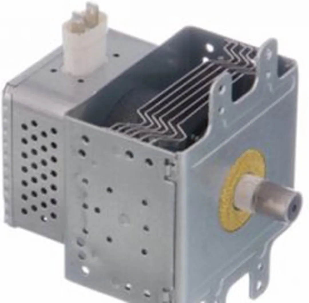 Electrolux Magnetron 5550304009 - Grijs