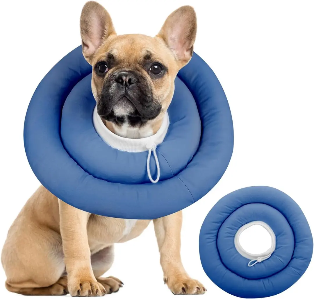 Herstelhalsband voor Honden