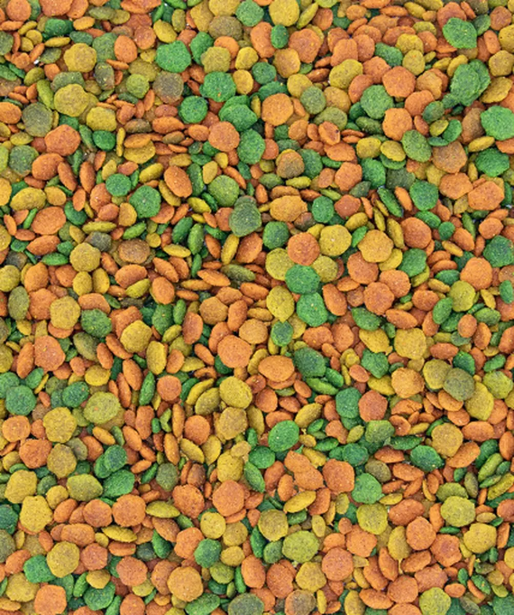Versele-Laga Nutribird G14 Tropical Grote Parkiet 1kg - afbeelding 4 van 4