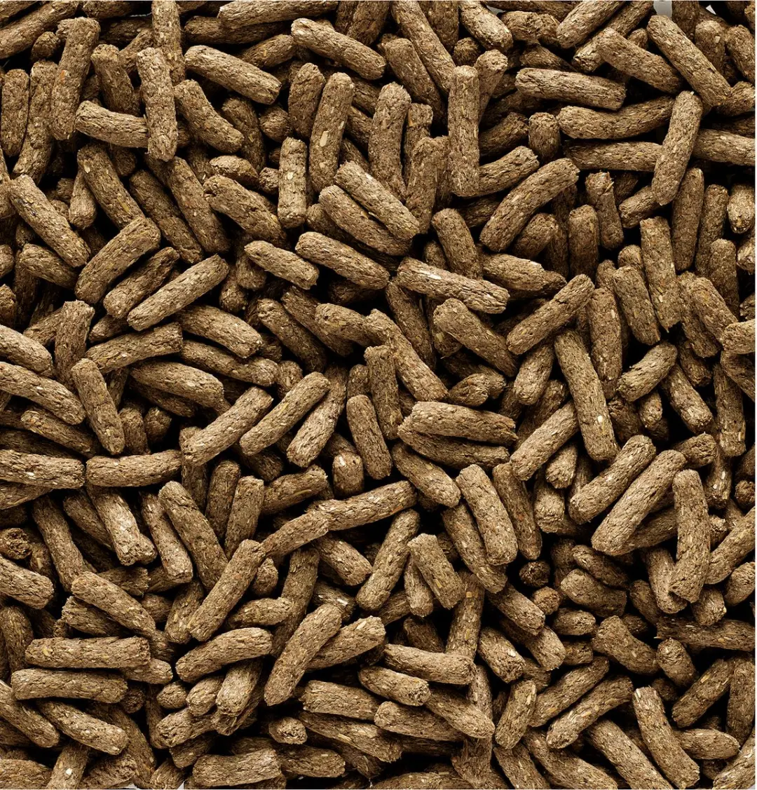 Versele-Laga Complete Caviavoer 500g - afbeelding 2 van 6