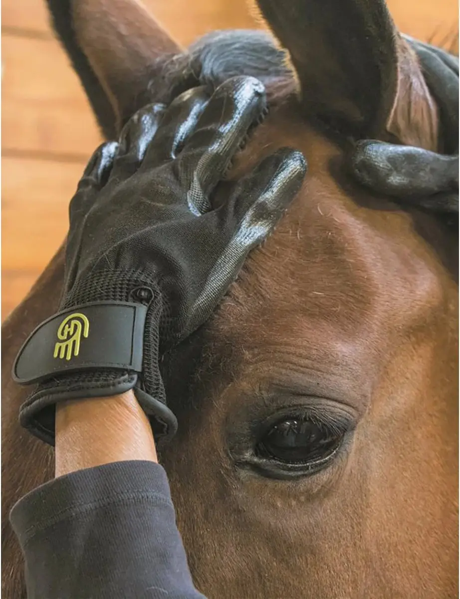 LeMieux HandsOn Verzorghandschoen - Maat M - Zwart - afbeelding 5 van 6