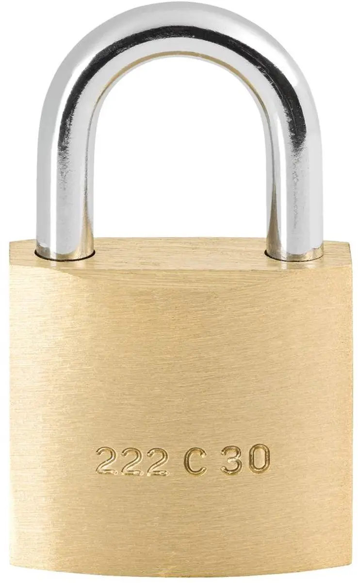 BURG-WÄCHTER 3001 Hangslot C-Line 222 30 SB - 30mm - afbeelding 3 van 4