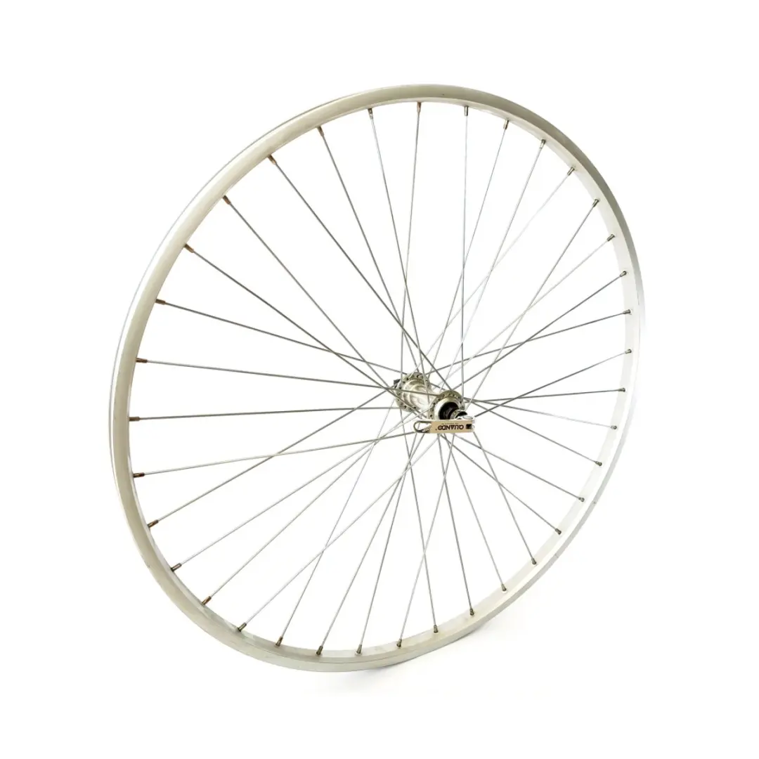 Roland Voorwiel 28 inch