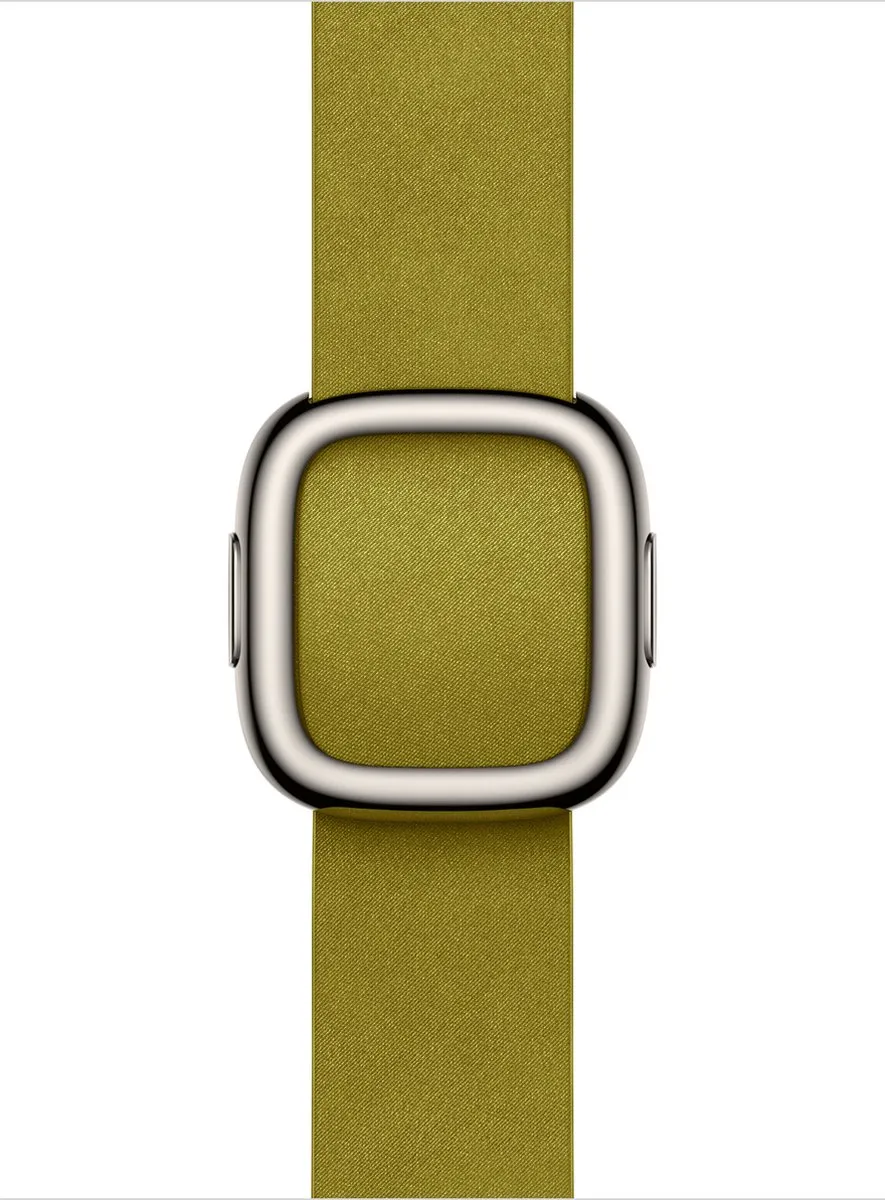 Apple Watch Modern Buckle 42mm
