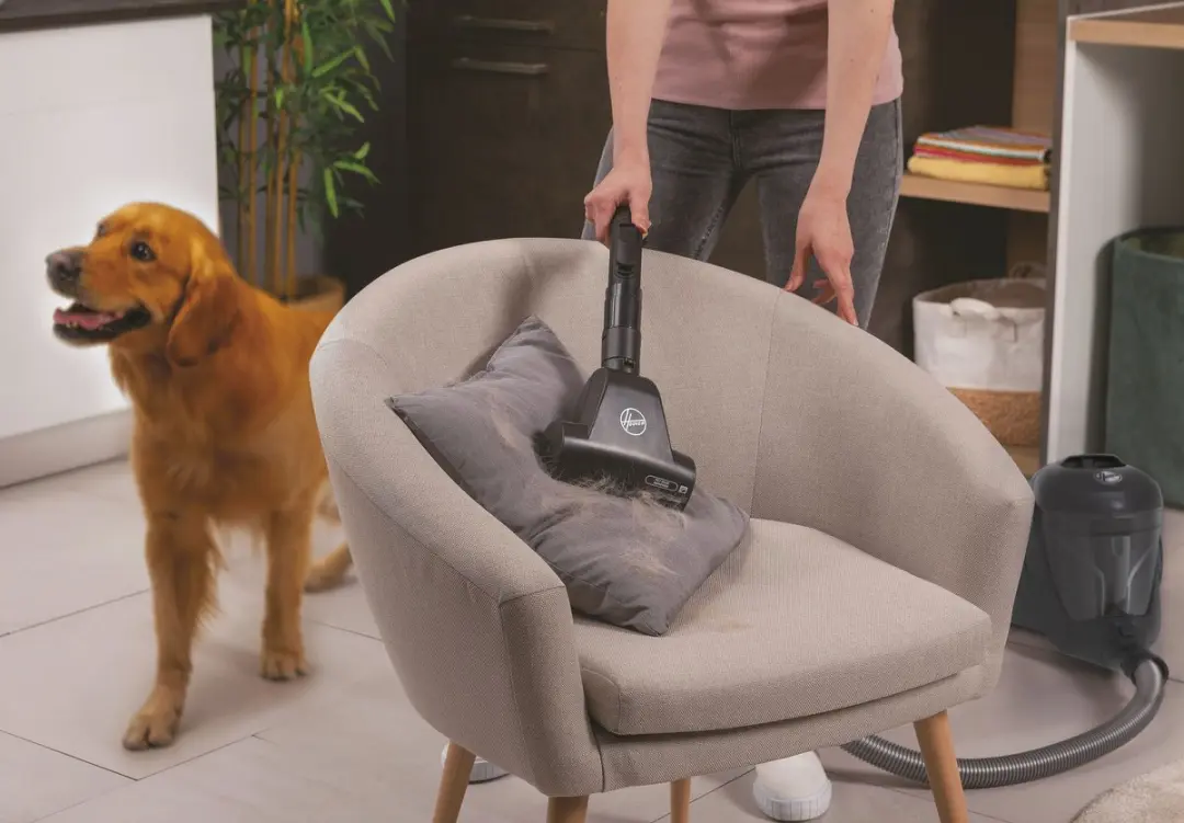 Hoover HP321PAF 011 Cilinderstofzuiger - 850W - Zwart - afbeelding 6 van 6
