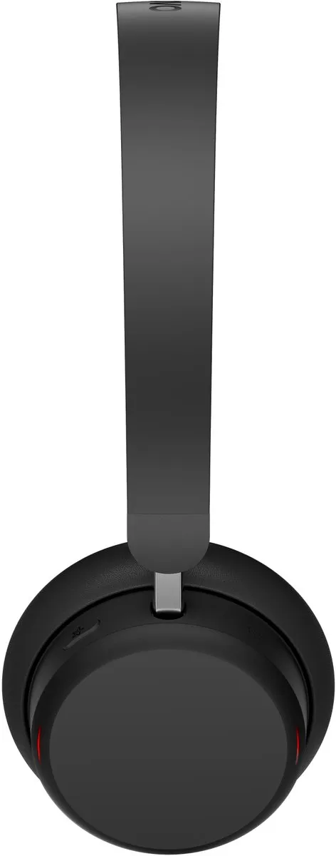 Lenovo 4XD1S19777 Oordopjes - Multicolor