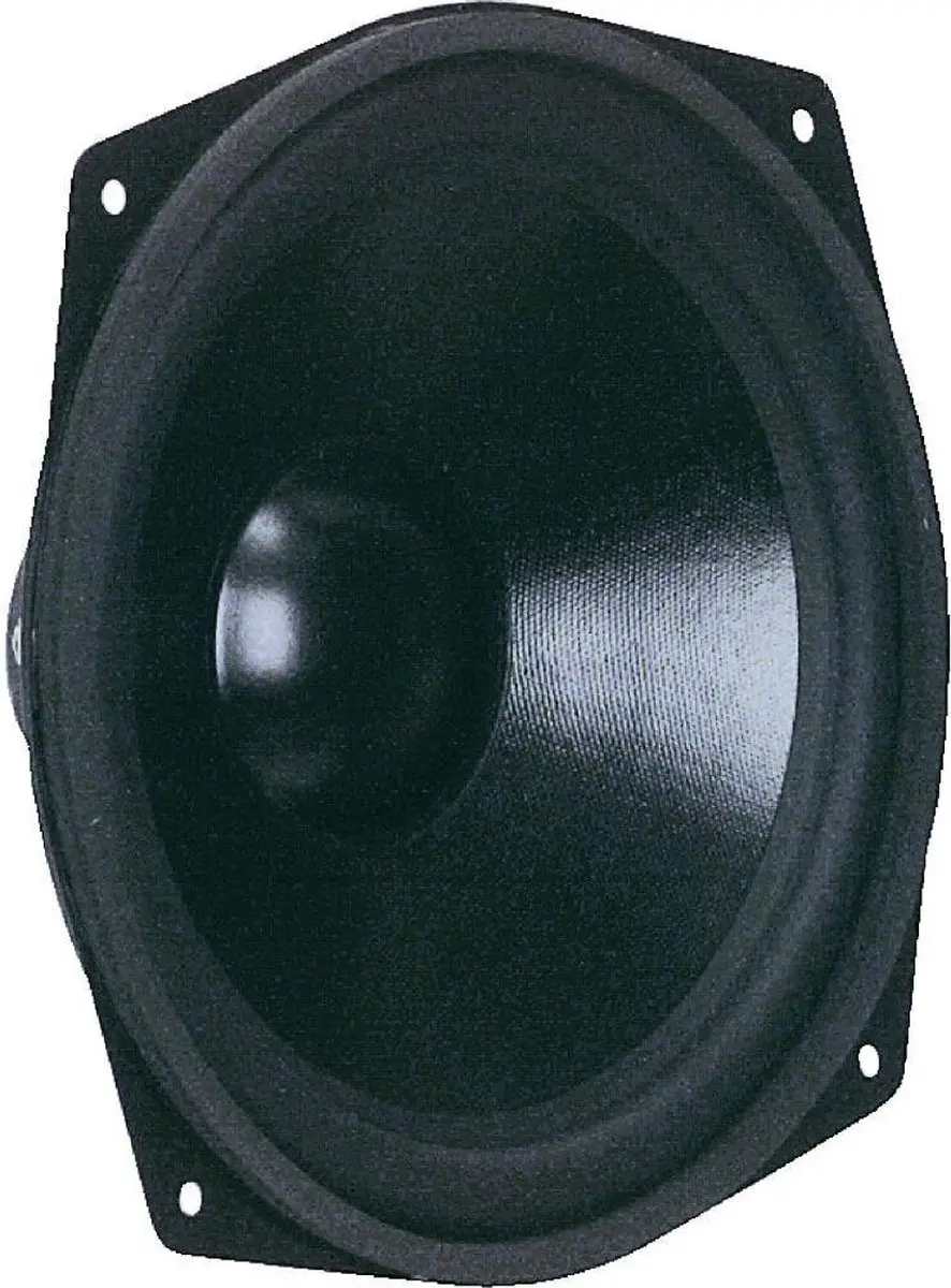 Visaton VS-WS25E/8 Woofer - 25cm - 80W - 8 Ohm - afbeelding 4 van 6