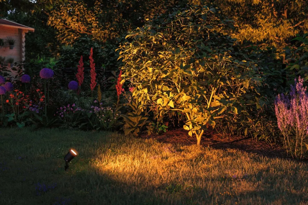 Paulmann LED Tuinspot Insectvriendelijk IP65 2200K 4,3W - Zwart