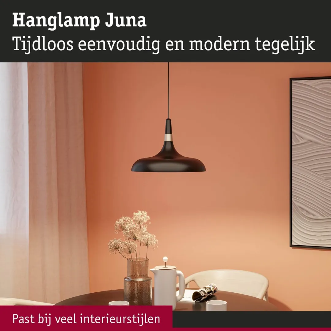 Paulmann Juna Hanglamp E27 20W - Zwart mat, Champagne