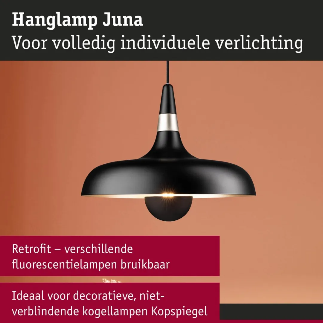 Paulmann Juna Hanglamp E27 20W - Zwart mat, Champagne - afbeelding 6 van 6