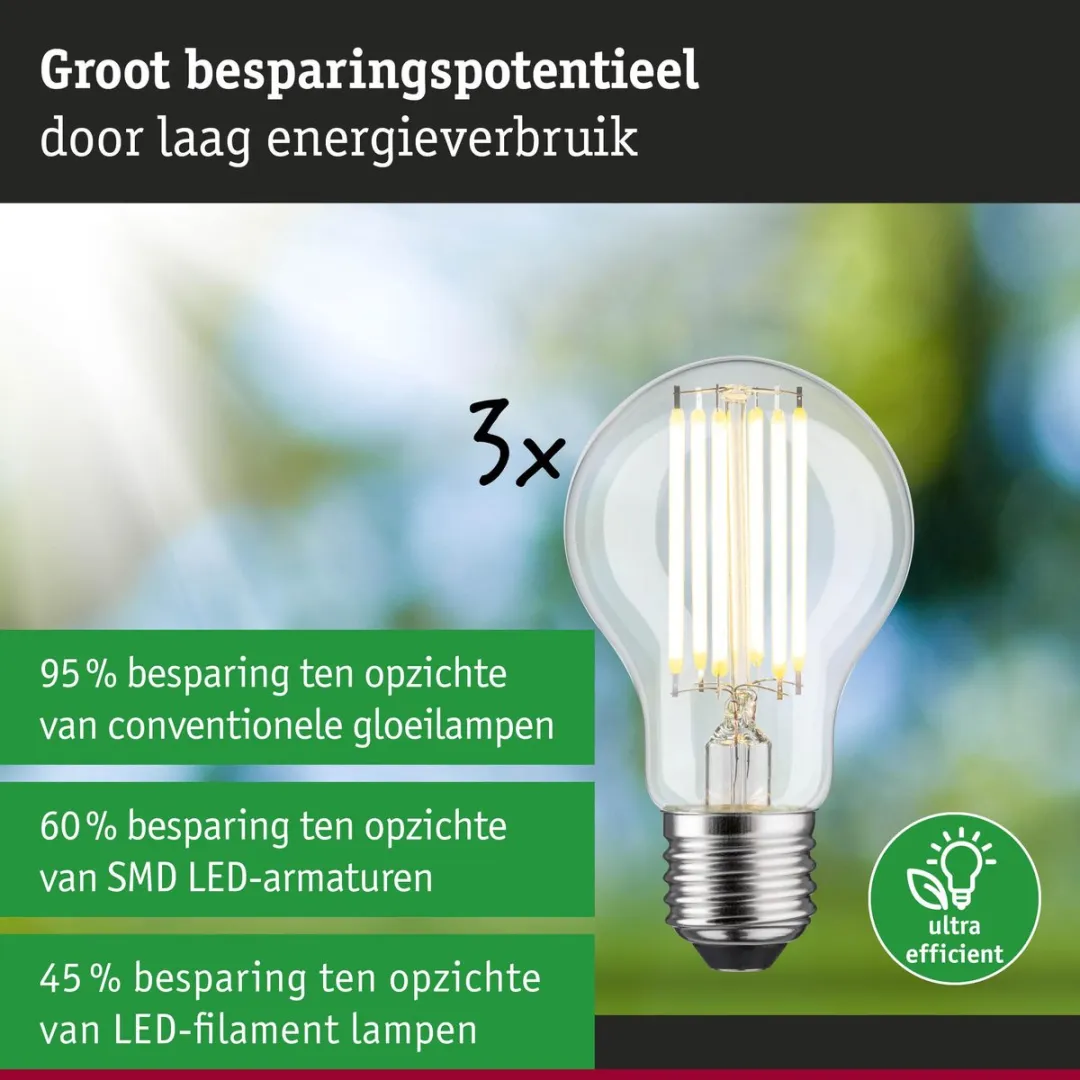 Paulmann Eco-Line LED-gloeilamp E27 5W 1055lm - 3000K - Set van 3 - afbeelding 6 van 6