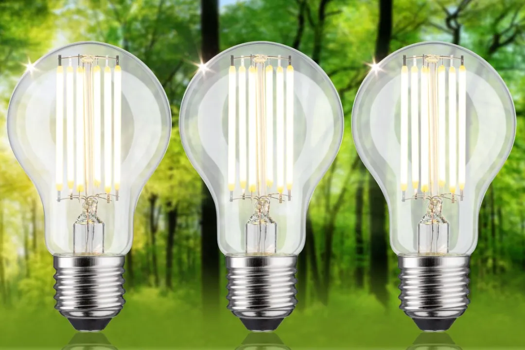 Paulmann Eco-Line LED-gloeilamp E27 5W 1055lm - 3000K - Set van 3