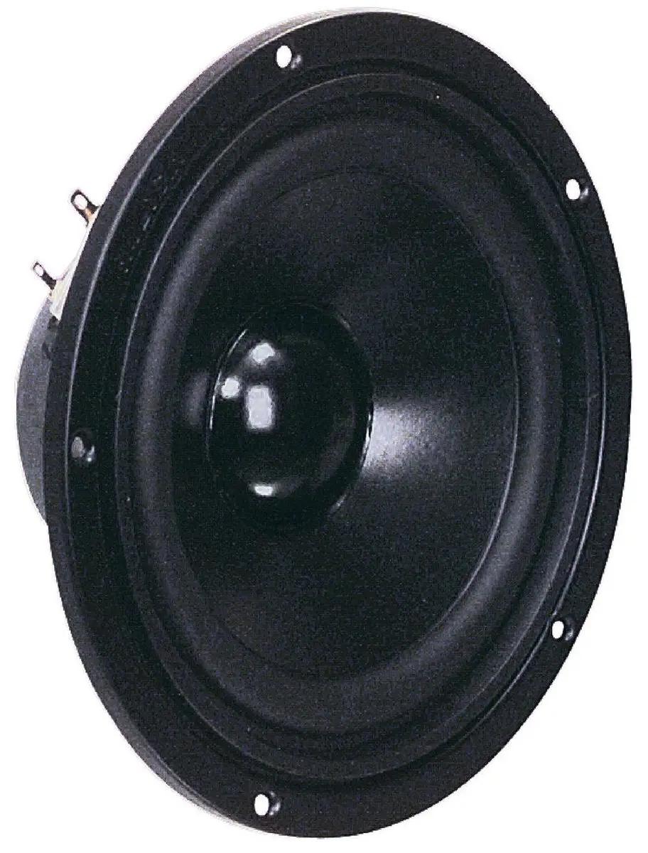 Visaton W 170 S VS-W170S/4 Bas-luidspreker - Zwart - afbeelding 5 van 6