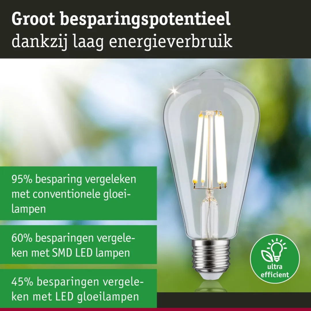 Paulmann Eco-Line LED Kolf ST64 E27 4W 840lm - Helder - afbeelding 6 van 6