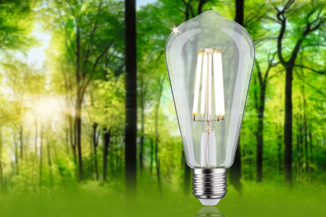 Paulmann Eco-Line LED Kolf ST64 E27 4W 840lm - Helder