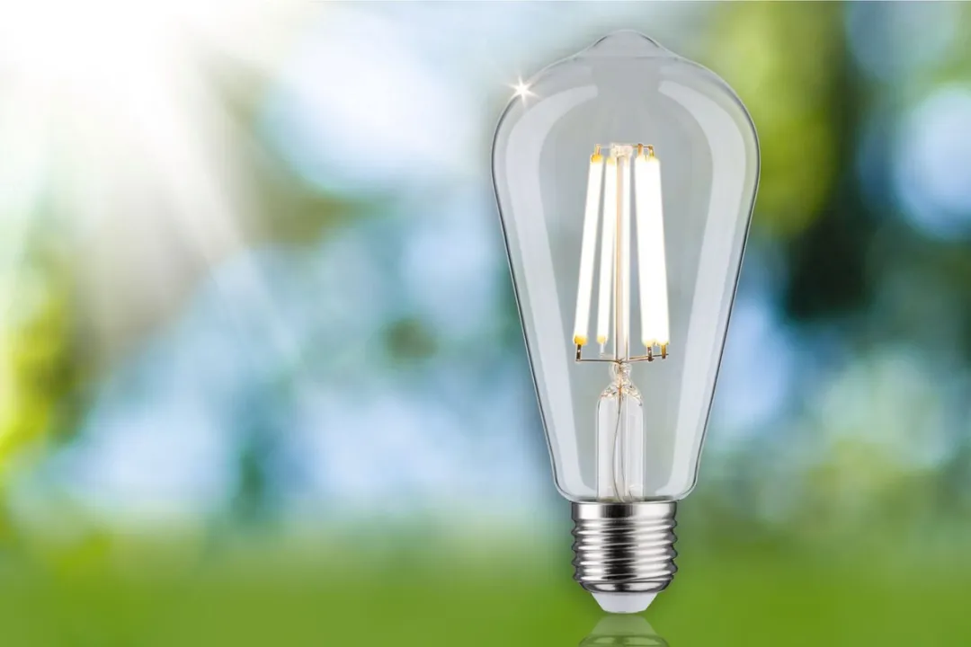 Paulmann Eco-Line LED Kolf ST64 E27 4W 840lm - Helder
