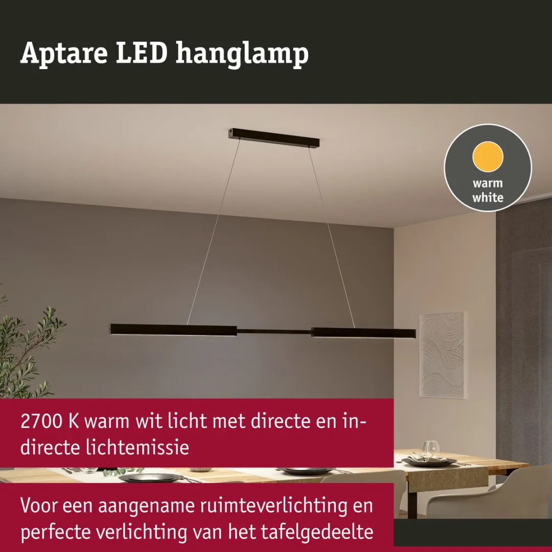 Paulmann LED Hanglamp Touchless Sensor Aptare 2x2280lm - Zwart geborsteld