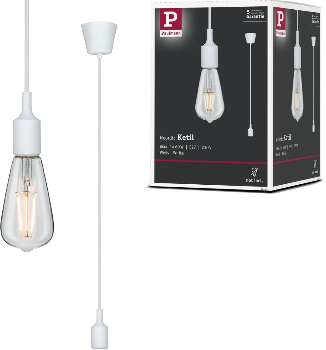 Paulmann Neordic Hanglamp Ketil E27 60W